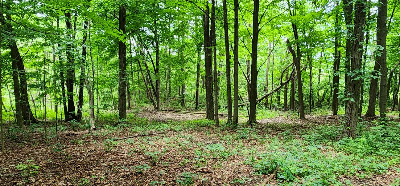 4476 Harvey Road Potter, NY 14544 - Photo 13 of 15