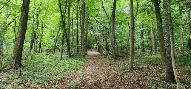 $375,000 | 4476 Harvey Road, Potter, NY 14544