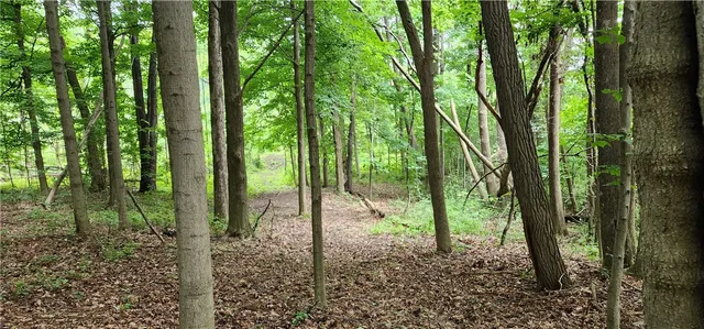 $375,000 | 4476 Harvey Road, Potter, NY 14544