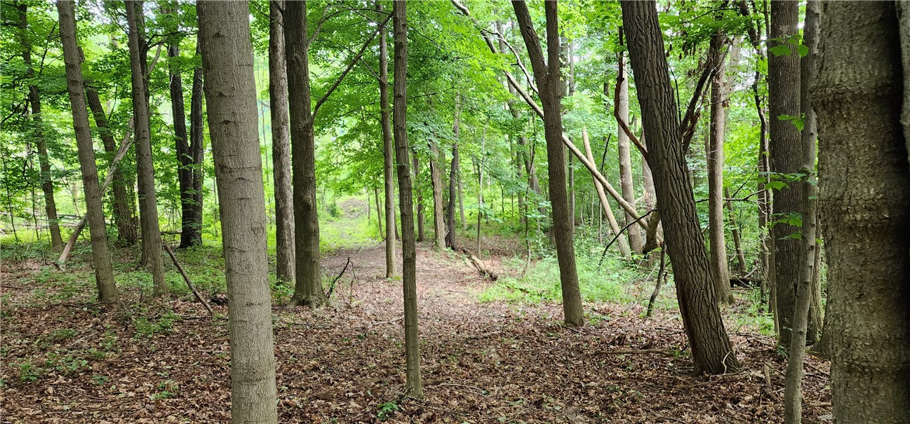 4476 Harvey Road Potter, NY 14544 - Photo 15 of 15