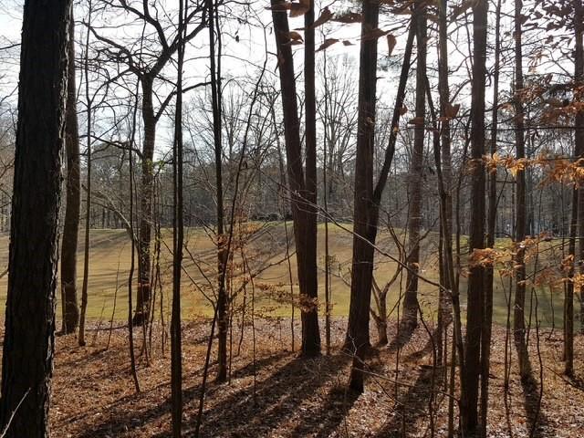 104 Hawks Court Ball Ground, GA 30107 - Photo 3 of 10