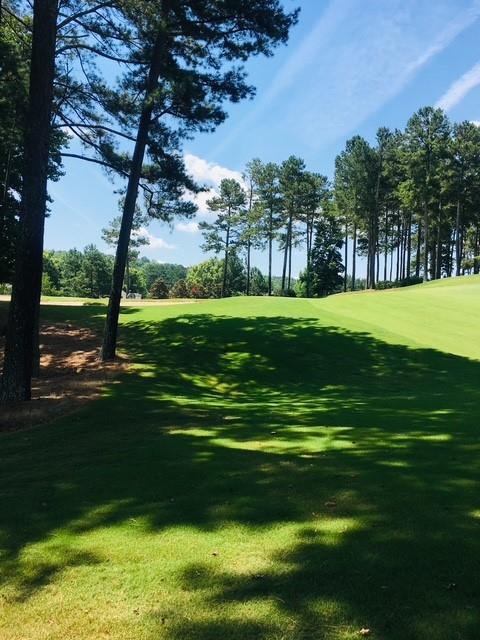 104 Hawks Court Ball Ground, GA 30107 - Photo 6 of 10