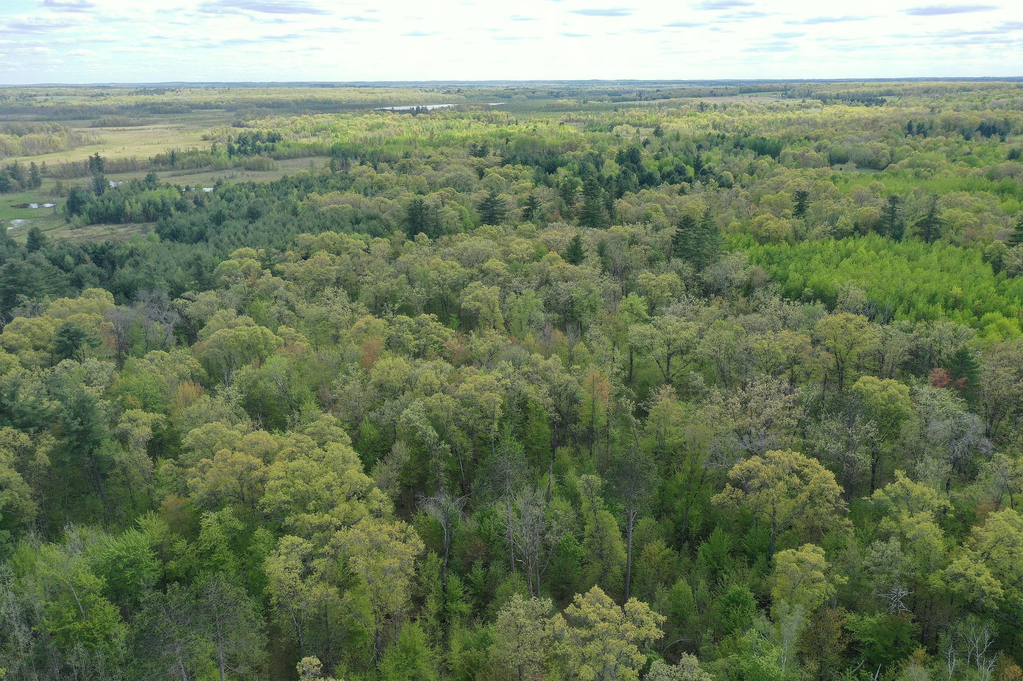 25275 Bruss Road Webster, WI 54893 - Photo 32 of 36