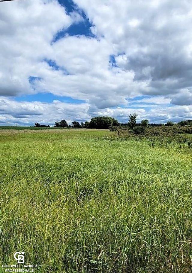 0 Brown City Road Imlay City, MI 48444 - Photo 9 of 10