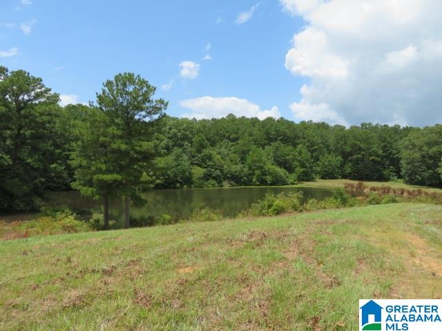 20025 Booler Road Vance, AL 35490 - Photo 39 of 48