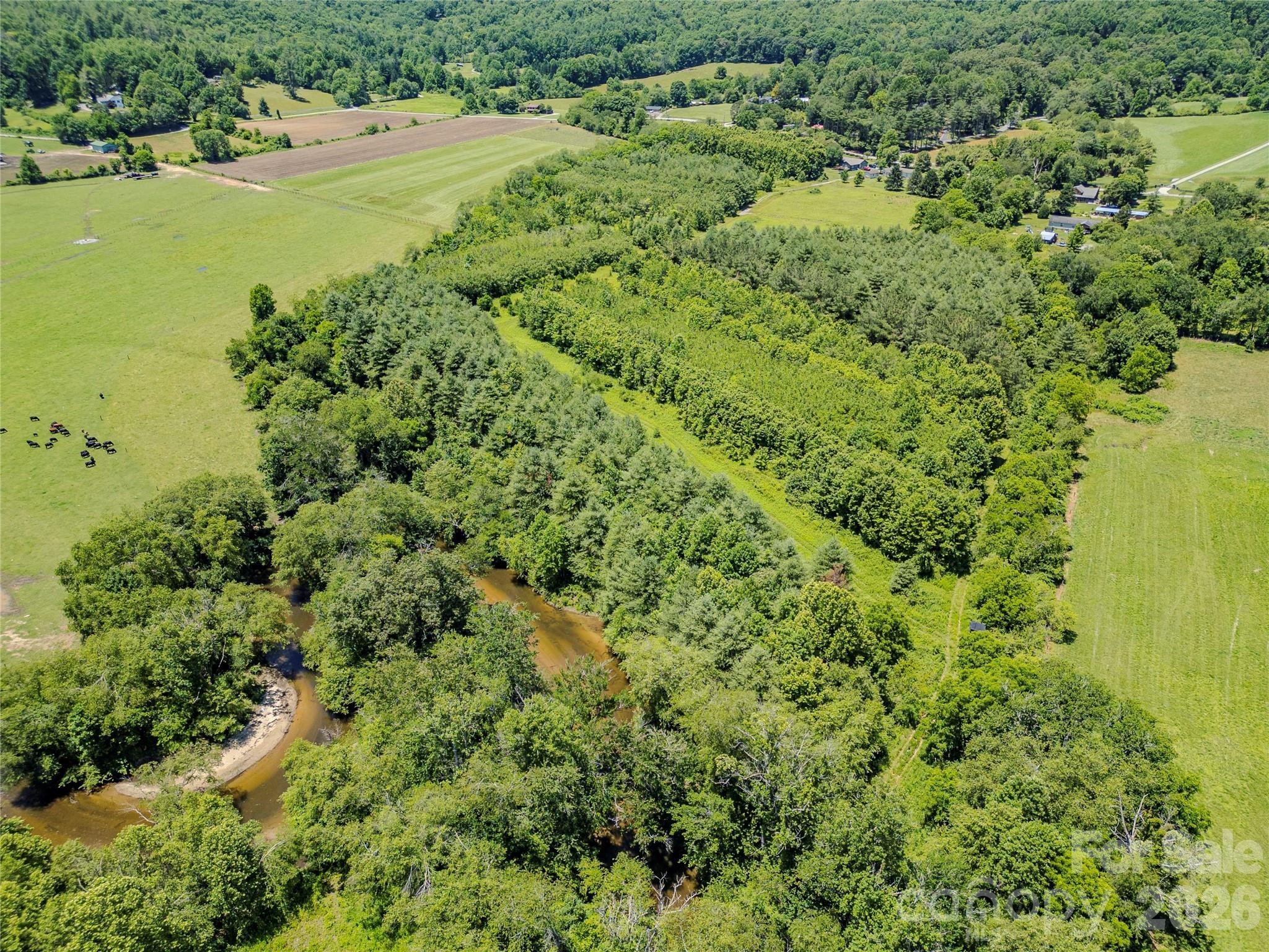 Tbd Canebrake Road Pisgah Forest, NC 28768 - Photo 21 of 43
