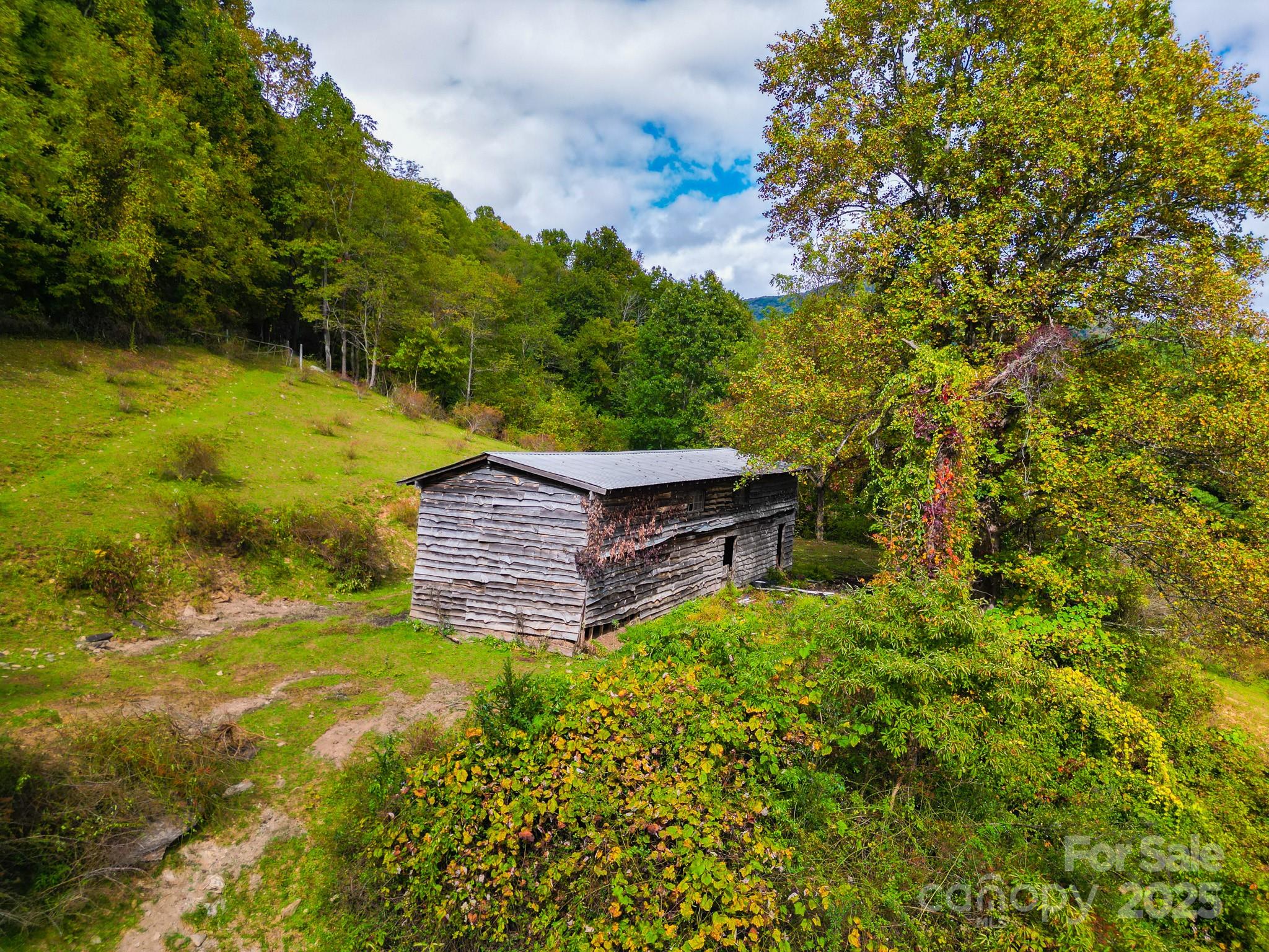 105 Home Place Road Maggie Valley, NC 28751 - Photo 11 of 24 a view of a garden with an outdoor space