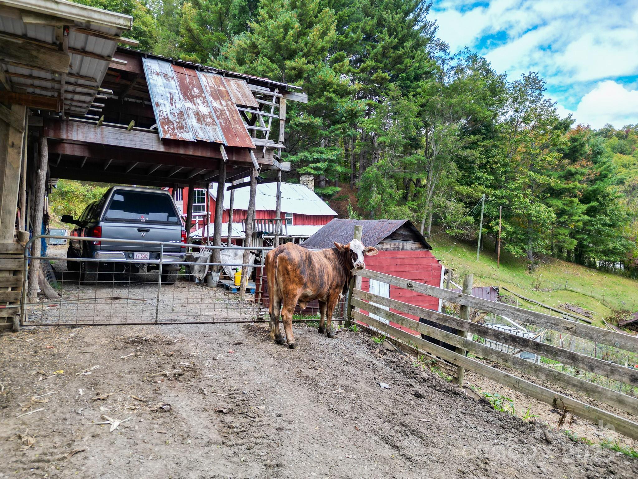 105 Home Place Road Maggie Valley, NC 28751 - Photo 19 of 24 an outdoor space with seating