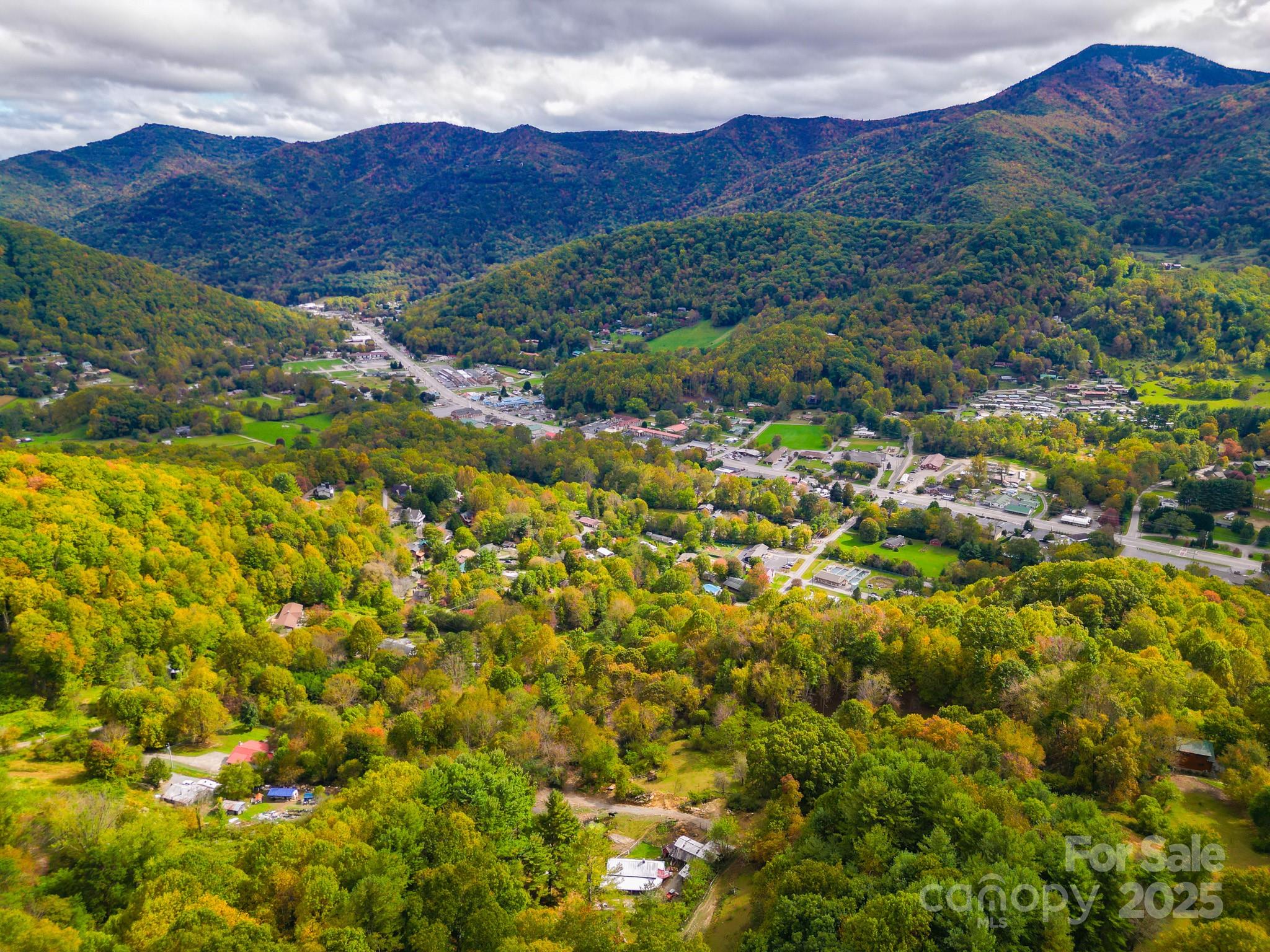 105 Home Place Road Maggie Valley, NC 28751 - Photo 5 of 24 a view of a lush green hillside and houses