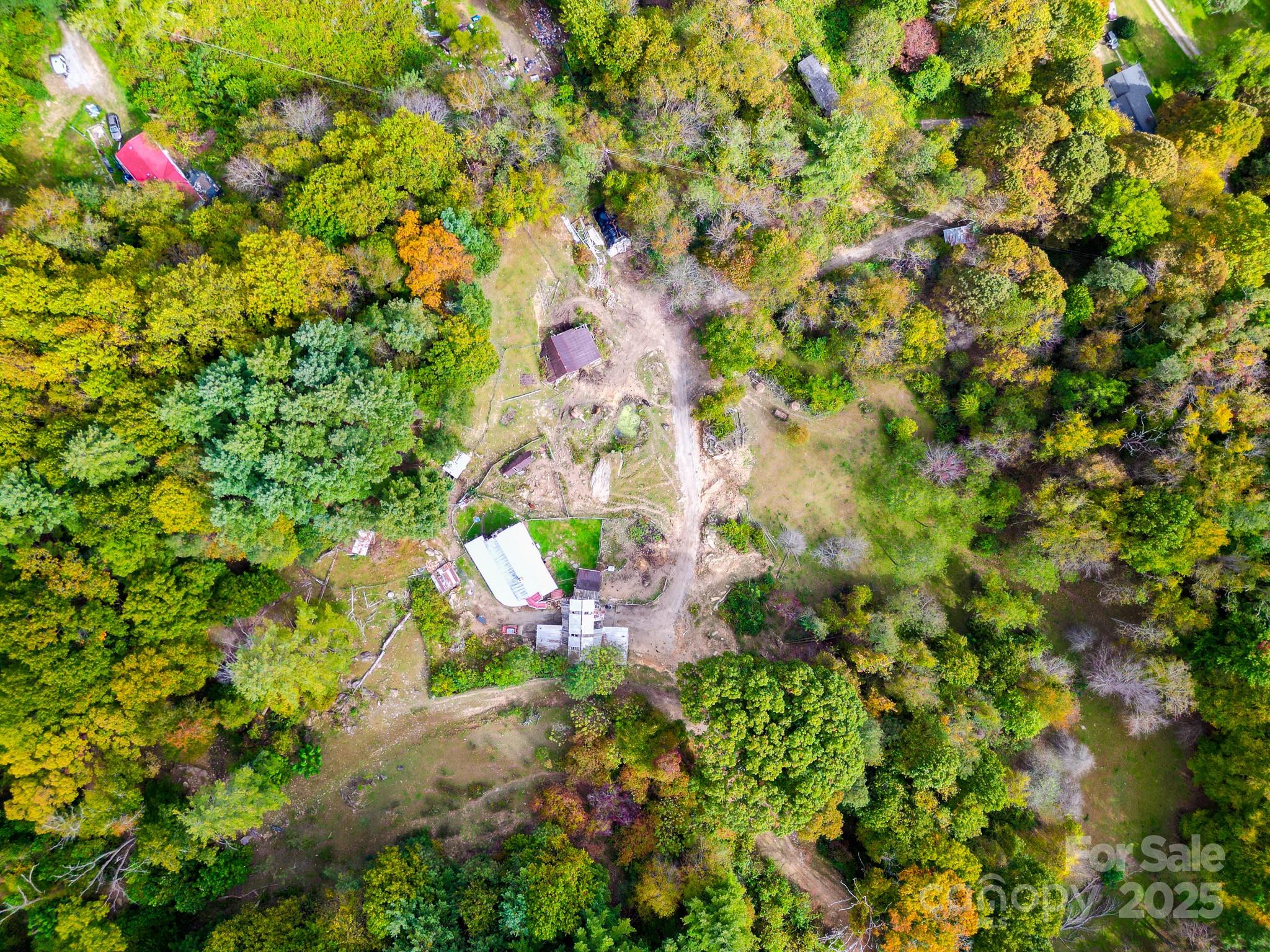 105 Home Place Road Maggie Valley, NC 28751 - Photo 9 of 24 a view of flowers