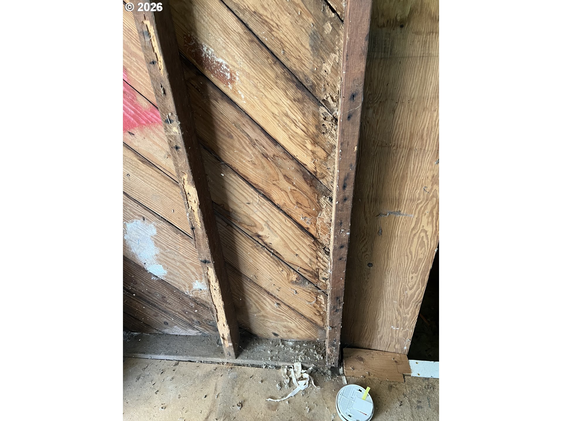 1161 Curtin Road Cottage Grove, OR 97424 - Photo 23 of 34 a close up of a tree in front of a house