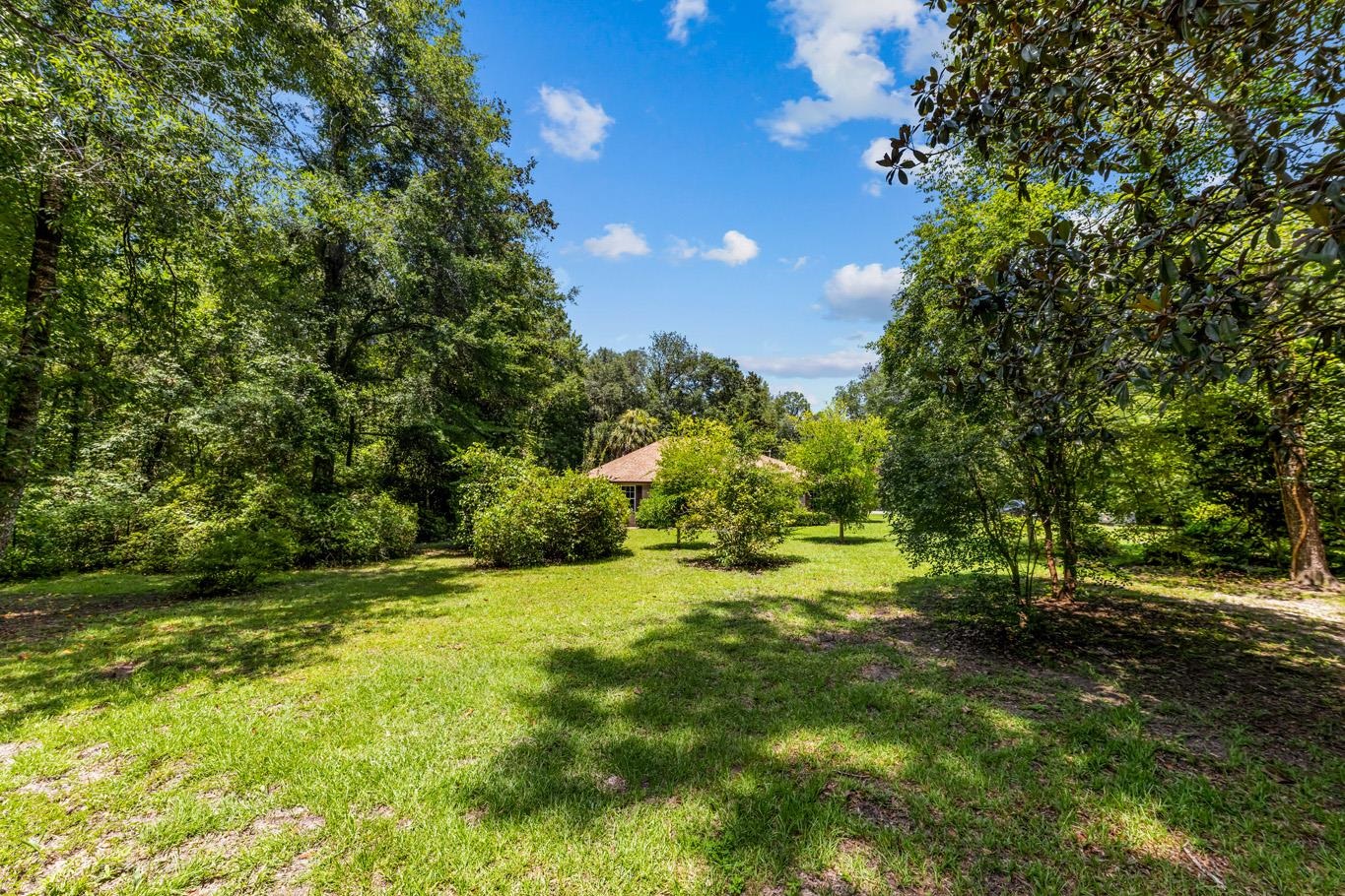 1407 Shady Rest Road Havana, FL 32333 - Photo 4 of 70