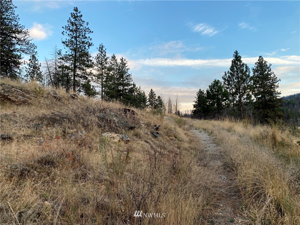 -tbd Hosheit Road Riverside, WA 98849 - Photo 11 of 21 Gallery Image 11