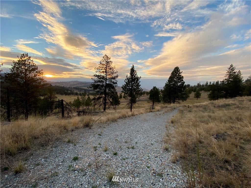 -tbd Hosheit Road Riverside, WA 98849 - Photo 12 of 21 Gallery Image 12