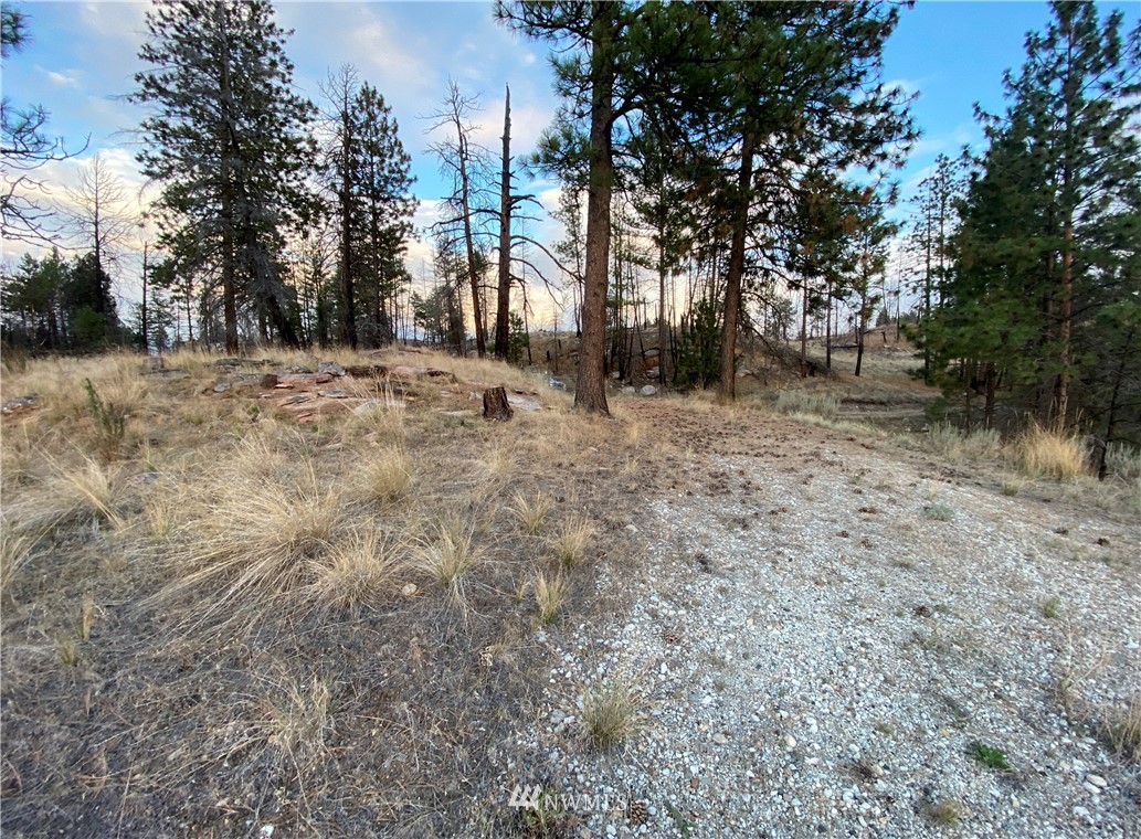 -tbd Hosheit Road Riverside, WA 98849 - Photo 13 of 21 Gallery Image 13