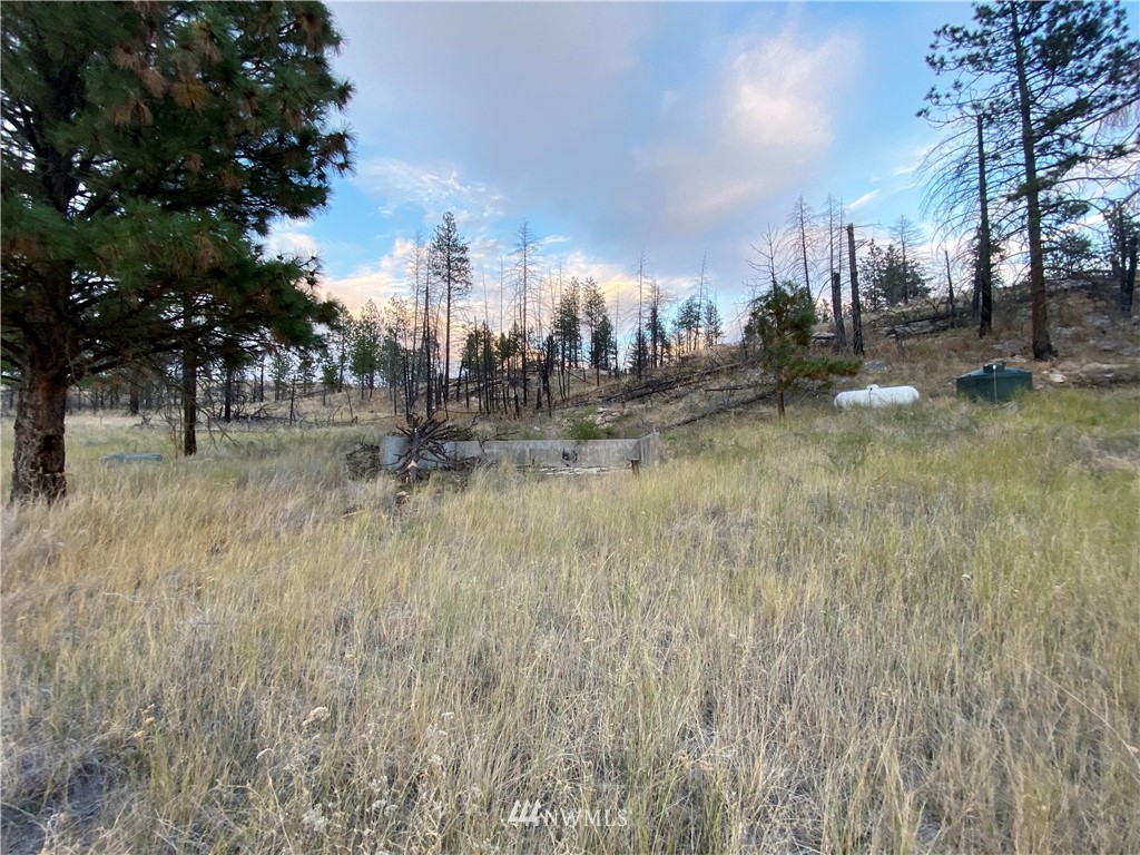-tbd Hosheit Road Riverside, WA 98849 - Photo 14 of 21 Gallery Image 14