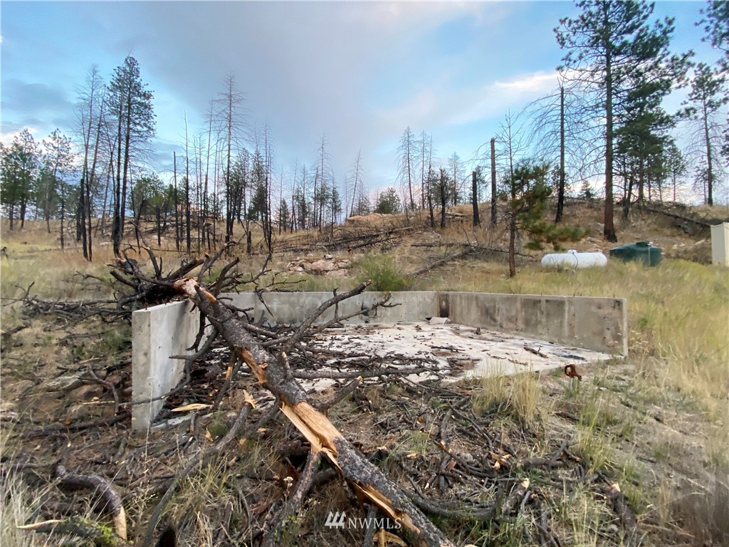 -tbd Hosheit Road Riverside, WA 98849 - Photo 19 of 21 Gallery Image 19