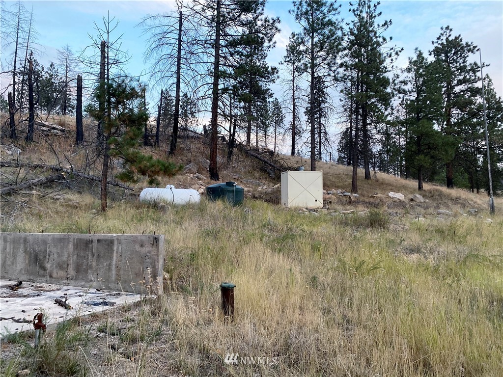 -tbd Hosheit Road Riverside, WA 98849 - Photo 20 of 21 Gallery Image 20