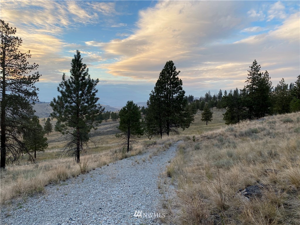 -tbd Hosheit Road Riverside, WA 98849 - Photo 3 of 21 Gallery Image 3