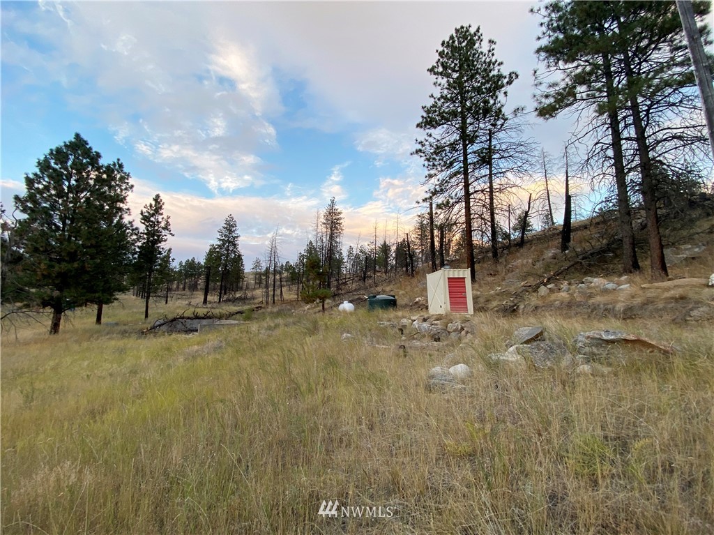 -tbd Hosheit Road Riverside, WA 98849 - Photo 21 of 21 Gallery Image 21