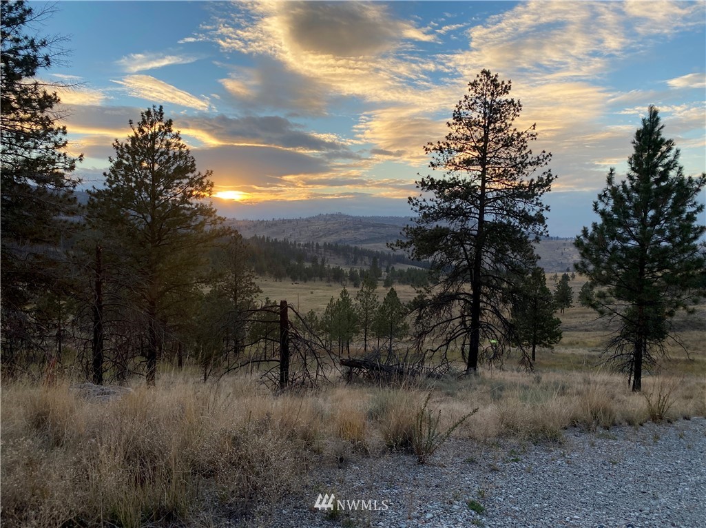 -tbd Hosheit Road Riverside, WA 98849 - Photo 4 of 21 Gallery Image 4