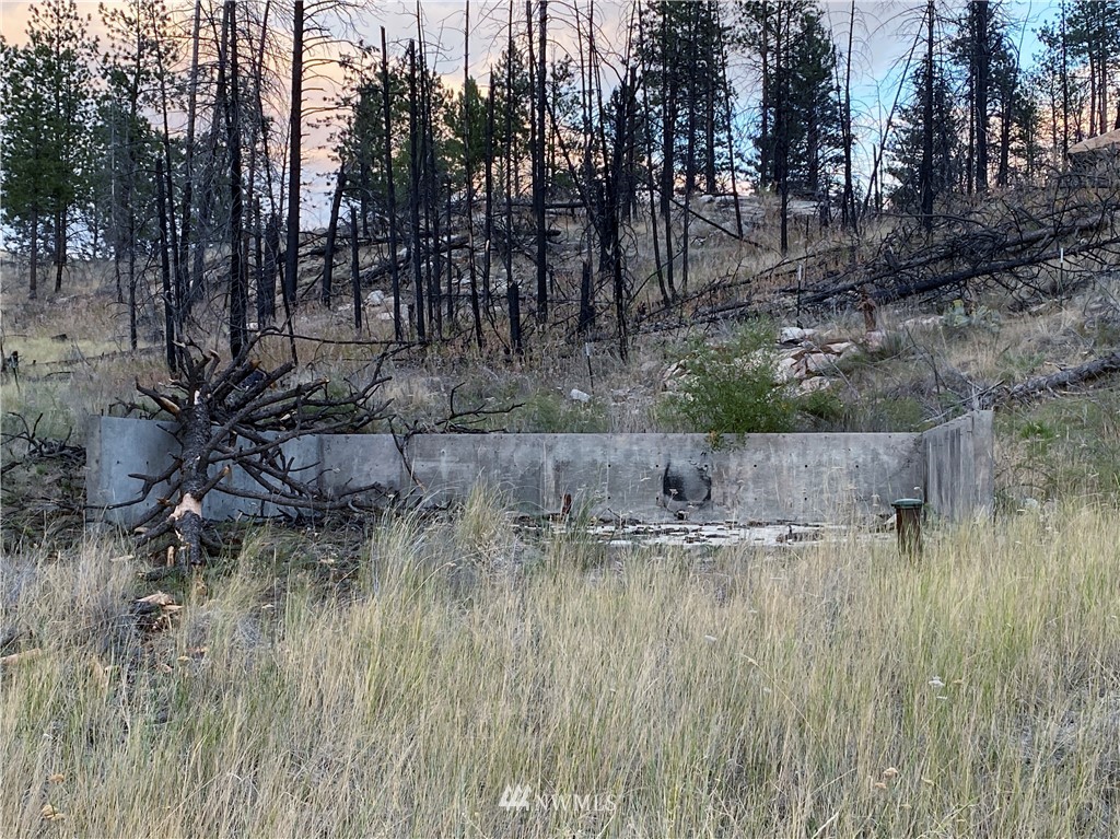 -tbd Hosheit Road Riverside, WA 98849 - Photo 6 of 21 Gallery Image 6