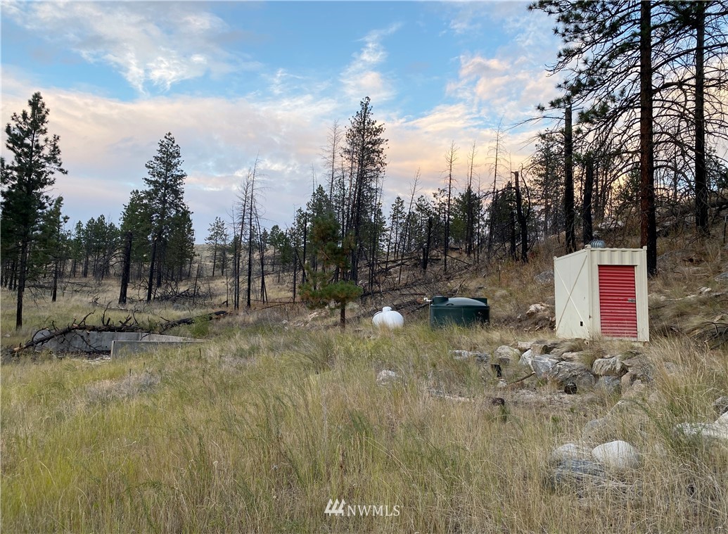 -tbd Hosheit Road Riverside, WA 98849 - Photo 8 of 21 Gallery Image 8