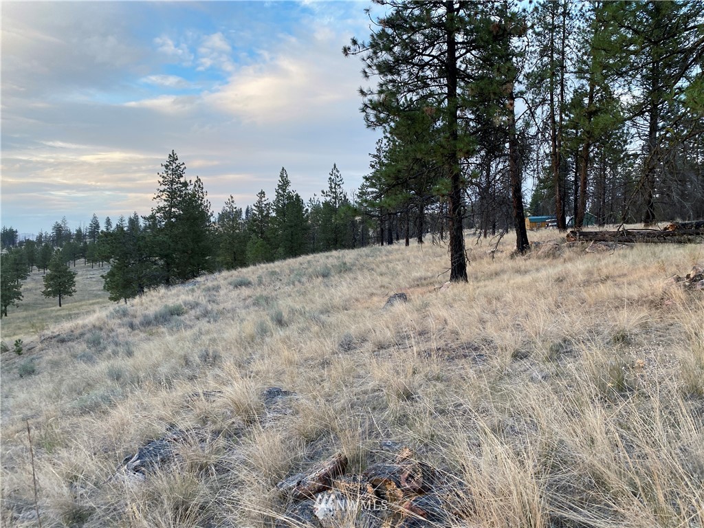 -tbd Hosheit Road Riverside, WA 98849 - Photo 10 of 21 Gallery Image 10