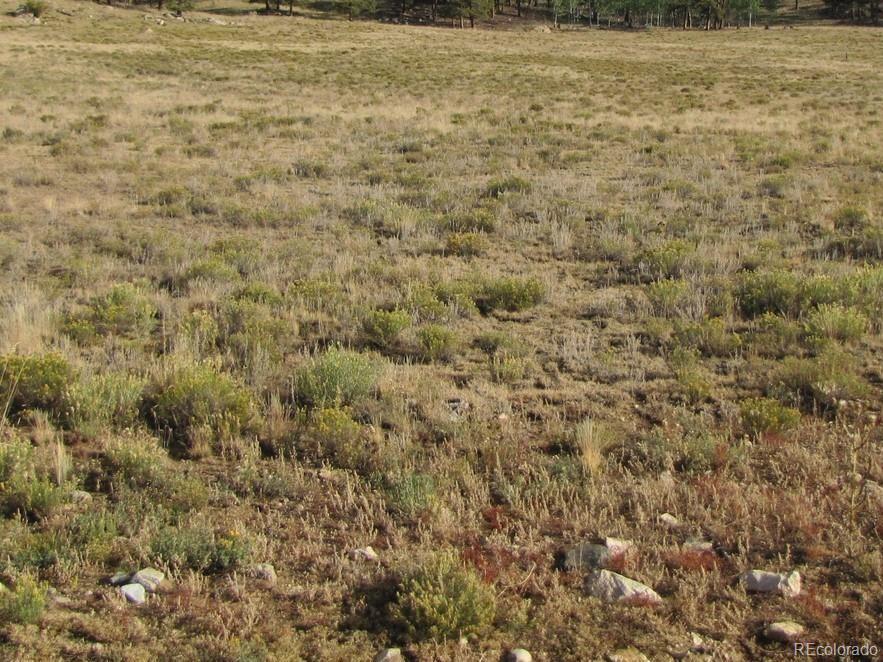 943 Yellowstone Road Hartsel, CO 80449 - Photo 1 of 4