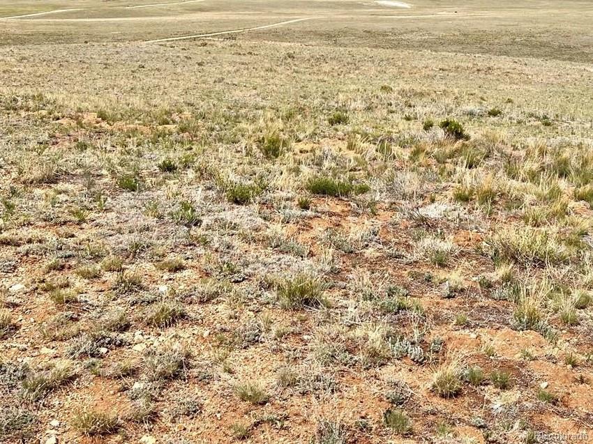 943 Yellowstone Road Hartsel, CO 80449 - Photo 3 of 4