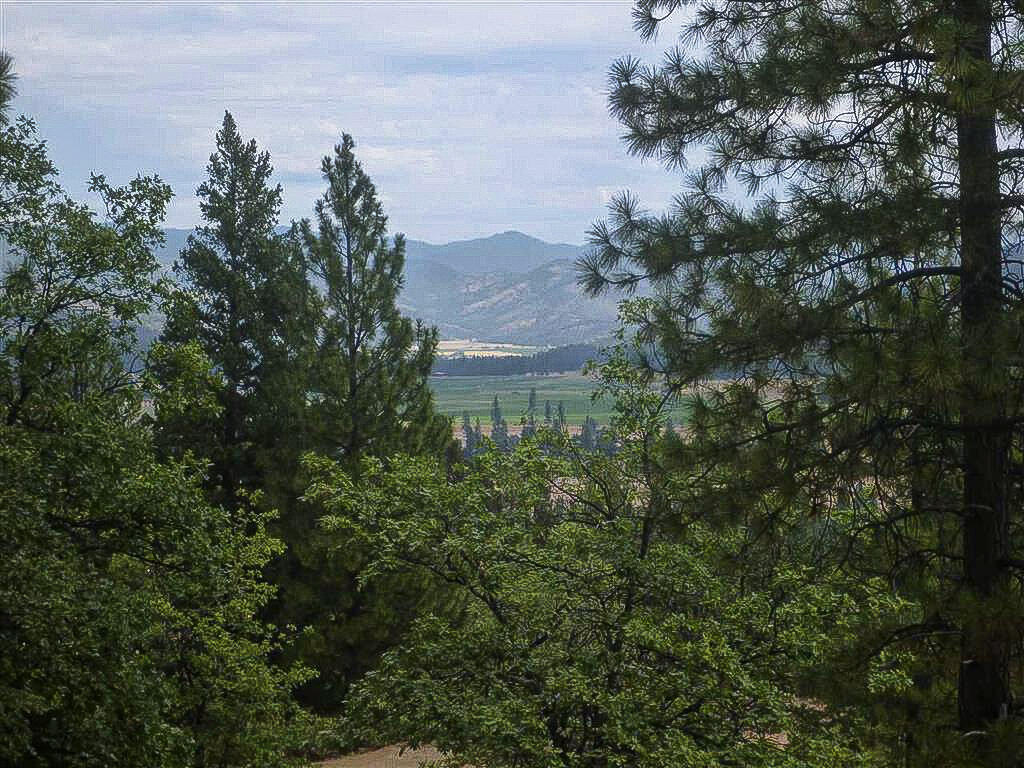 North Kidder Creek Road Etna, CA 96027 - Photo 5 of 22 5-South Kidder Creek00012