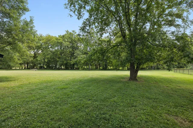 a view of yard with a trees