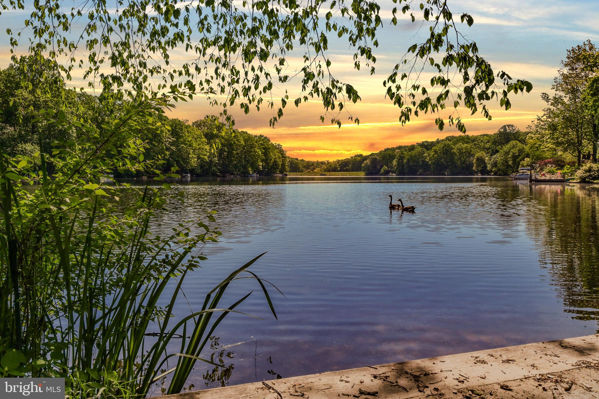 11485 Waterview Cluster Reston, VA 20190 - Photo 2 of 50 Waterview Cluster Private Beach