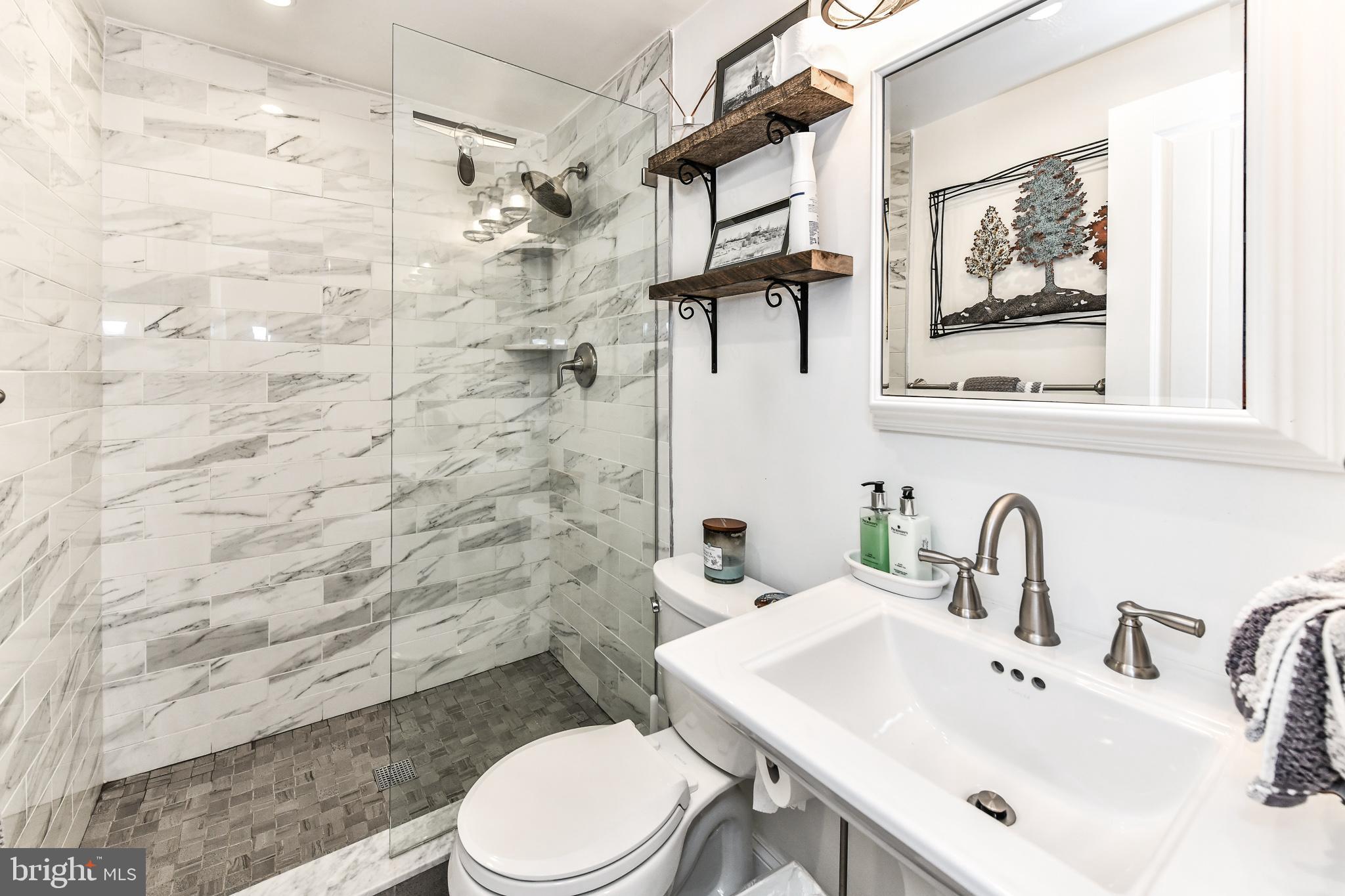 11485 Waterview Cluster Reston, VA 20190 - Photo 22 of 50 Fully Renovated Full Bath on First Level