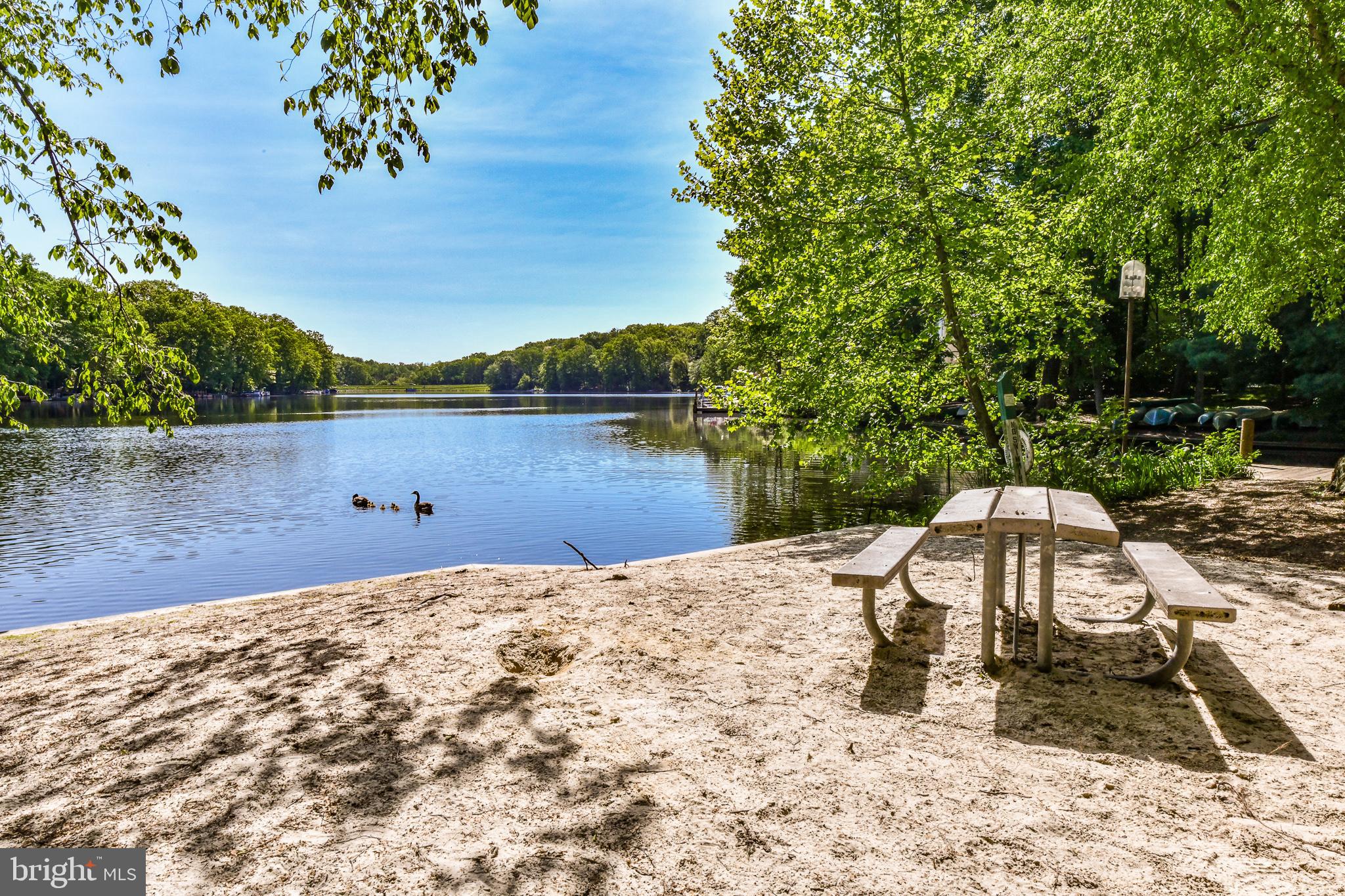 11485 Waterview Cluster Reston, VA 20190 - Photo 47 of 50 Privacy from busy DC.