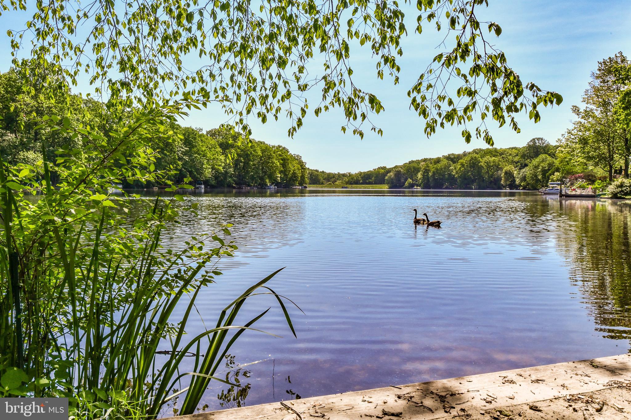 11485 Waterview Cluster Reston, VA 20190 - Photo 48 of 50