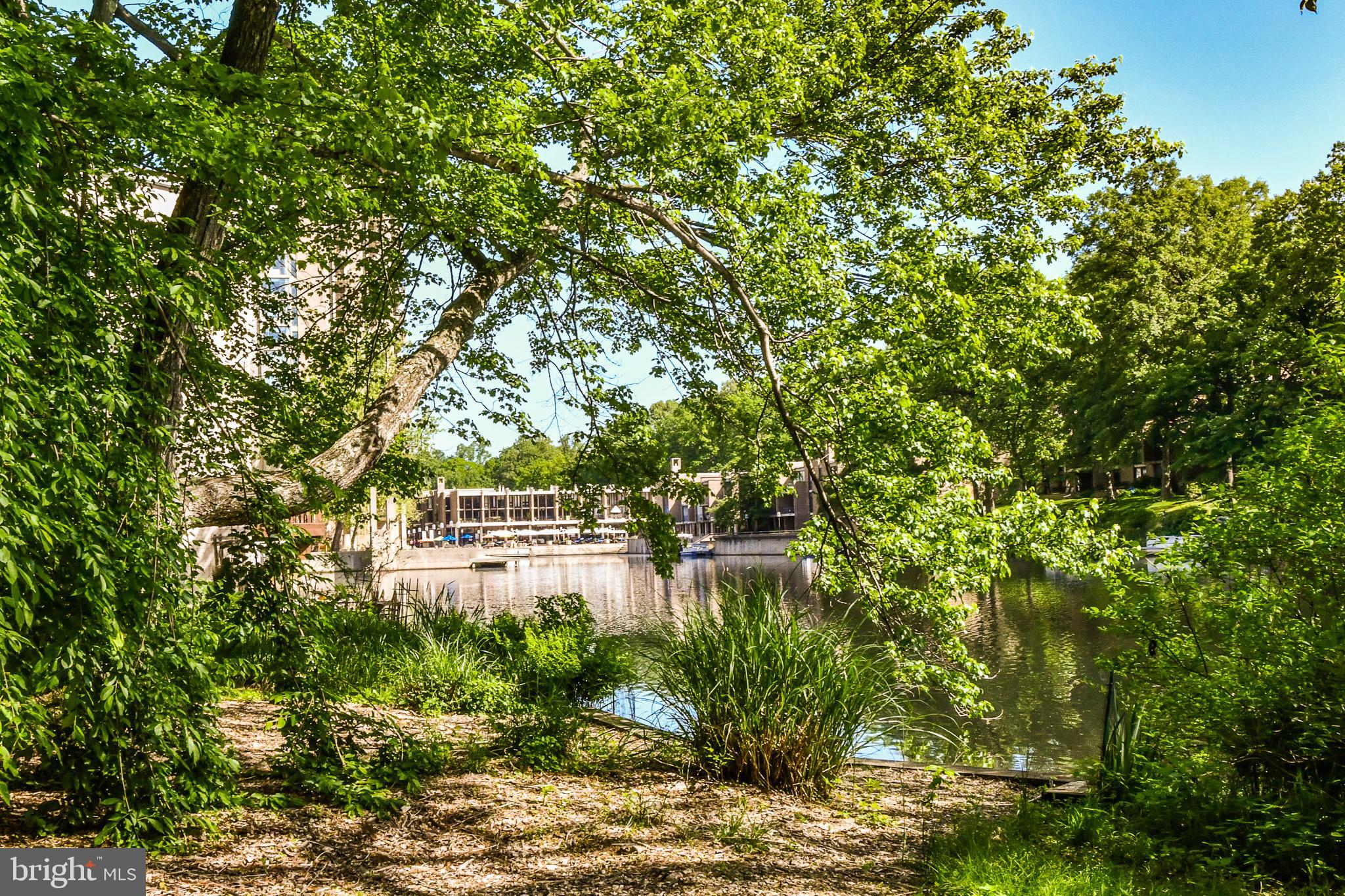 11485 Waterview Cluster Reston, VA 20190 - Photo 49 of 50