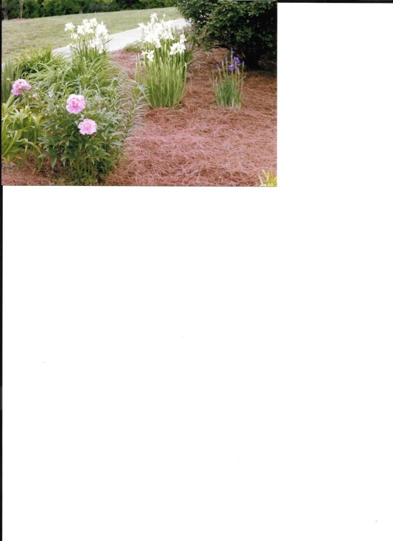 198 Old Turnpike Road Mountain Rest, SC 29664 - Photo 35 of 36 Gallery Image 35