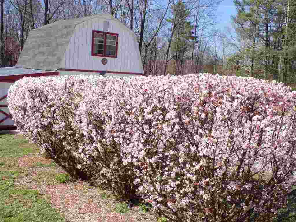 198 Old Turnpike Road Mountain Rest, SC 29664 - Photo 7 of 36 Gallery Image 7