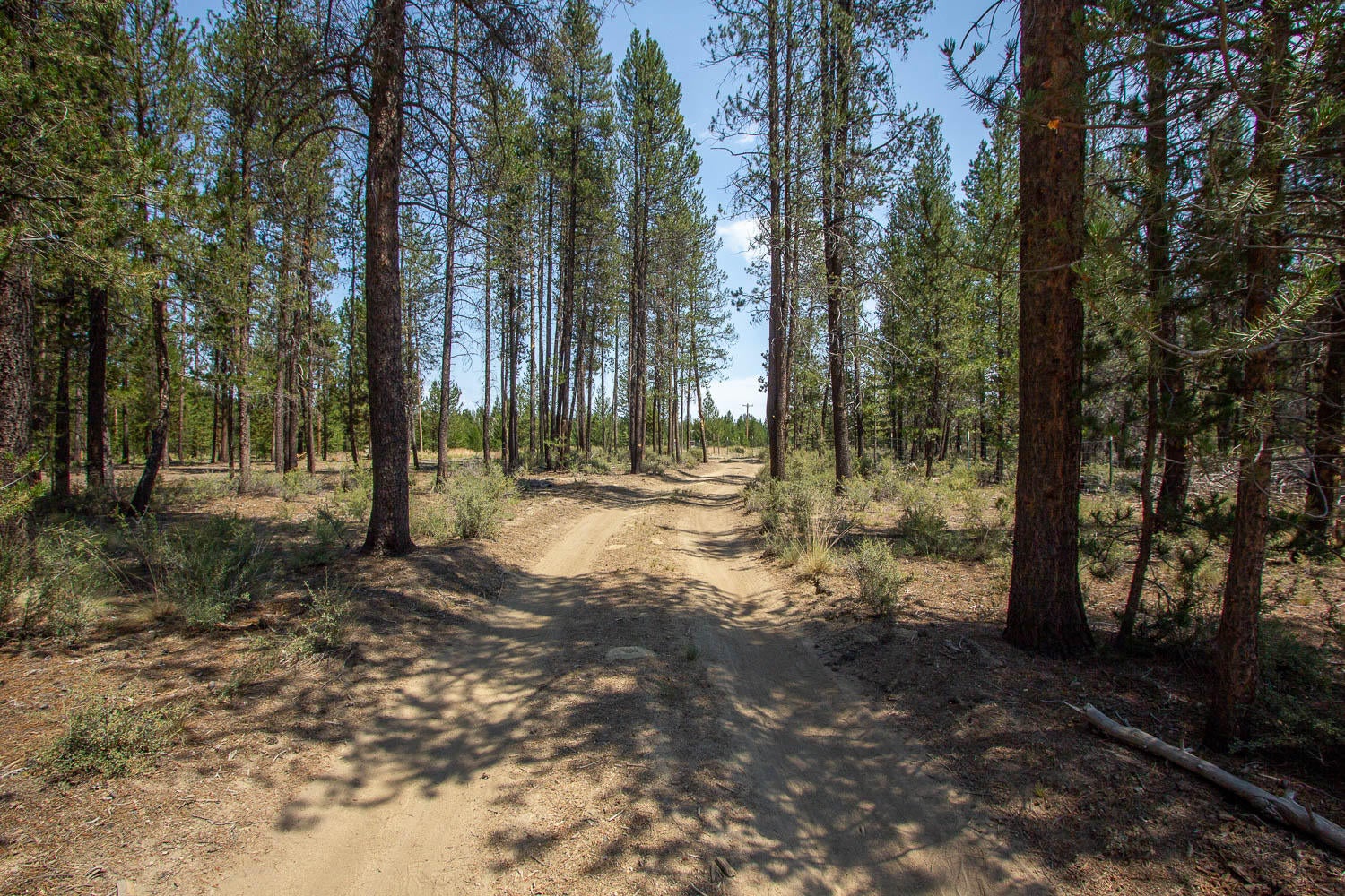 2002 Kurtz Road La Pine, OR 97739 - Photo 6 of 21 Kurtz-Rd-7-22-2020-12 use after first ph
