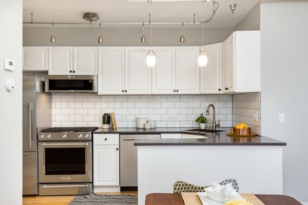 6 Porter Road, Unit 3L Cambridge, MA 02140 - Photo 6 of 15 Gallery Image 6
