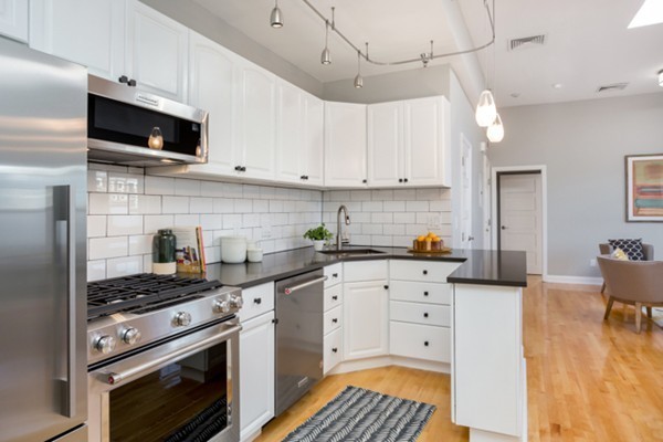 6 Porter Road, Unit 3L Cambridge, MA 02140 - Photo 7 of 15 Gallery Image 7