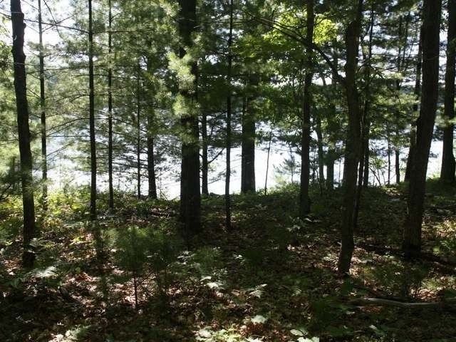 Lot 1 Bucktail Lane Rhinelander, WI 54501 - Photo 3 of 7 Gallery Image 3