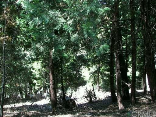 0 Fremont Road Lake Arrowhead, CA 92352 - Photo 1 of 1 Gallery Image 1