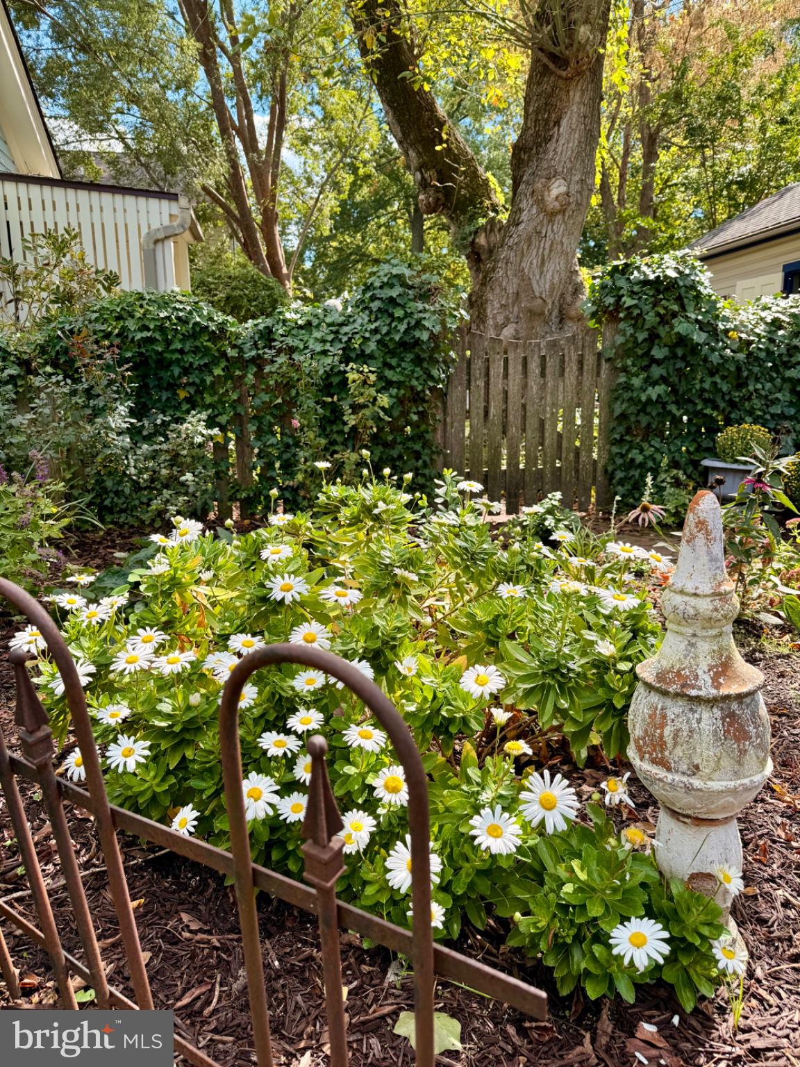 700 South Talbot Street St. Michaels, MD 21663 - Photo 74 of 83 Gardens for every season.