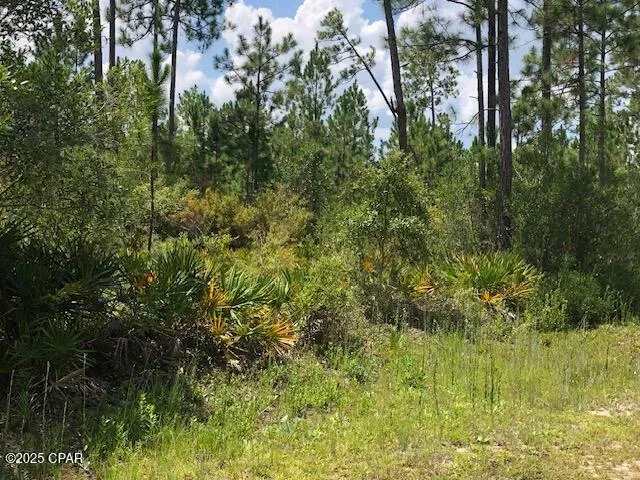 $44,000 | 0 Timbercrest Road, Fountain, FL 32438