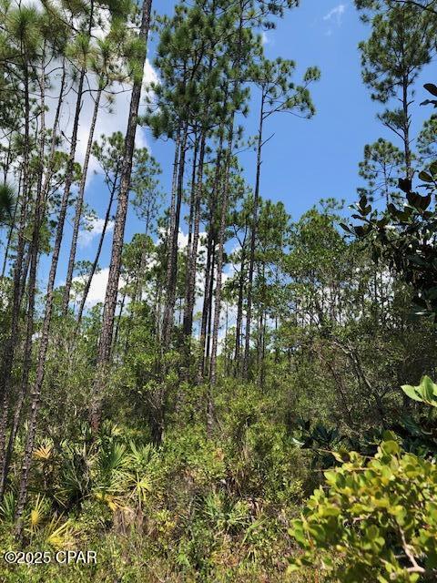 0 Timbercrest Road Fountain, FL 32438 - Photo 6 of 9