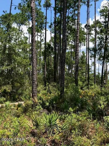 $44,000 | 0 Timbercrest Road, Fountain, FL 32438