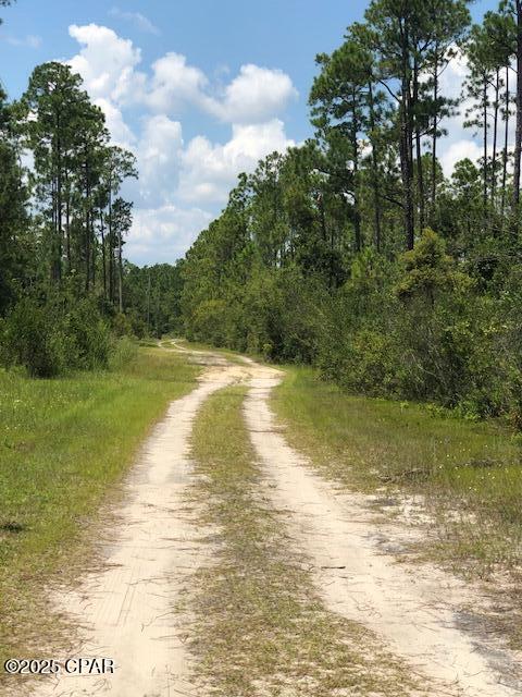 0 Timbercrest Road Fountain, FL 32438 - Photo 8 of 9