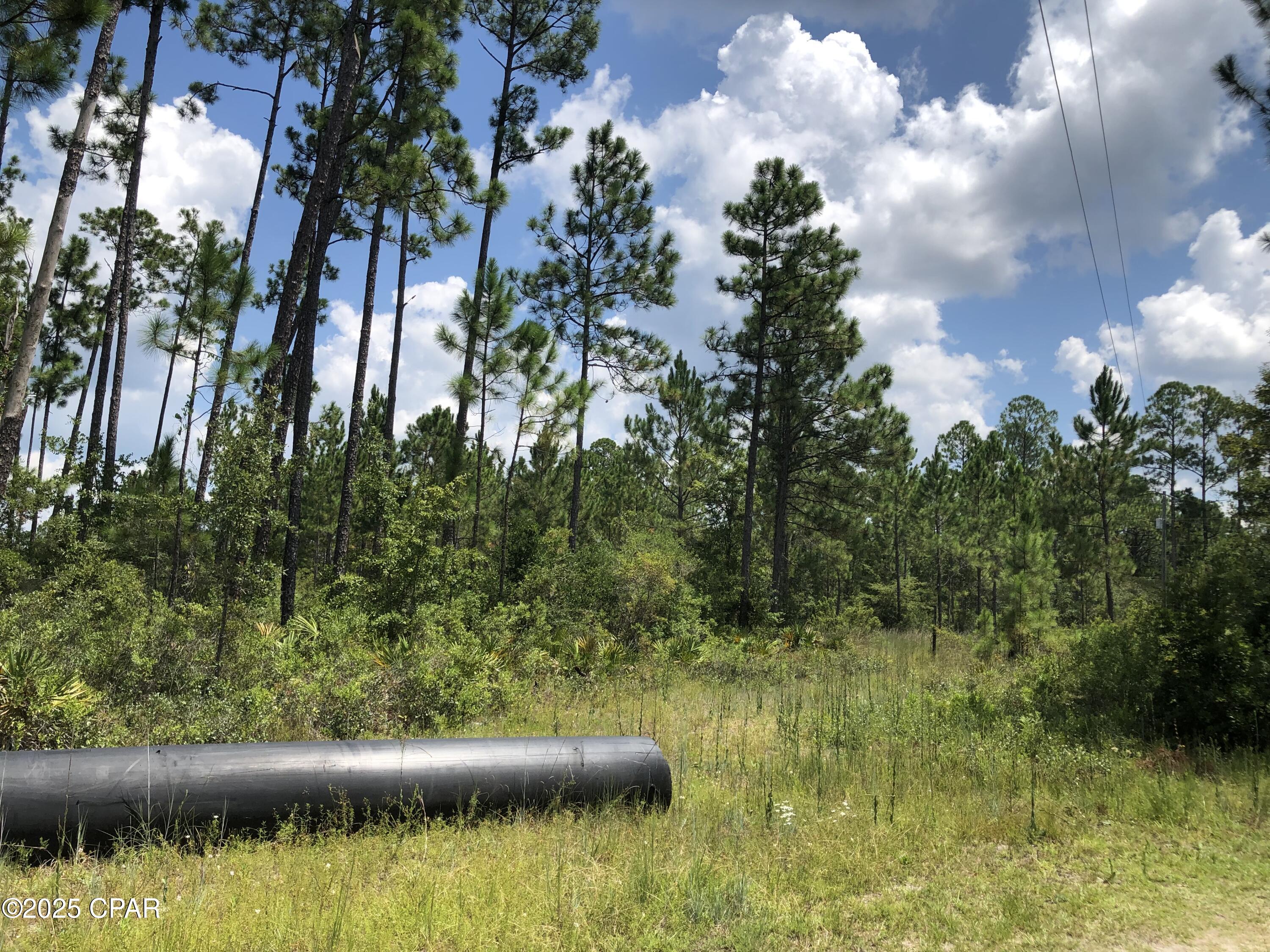 0 Timbercrest Road Fountain, FL 32438 - Photo 9 of 9